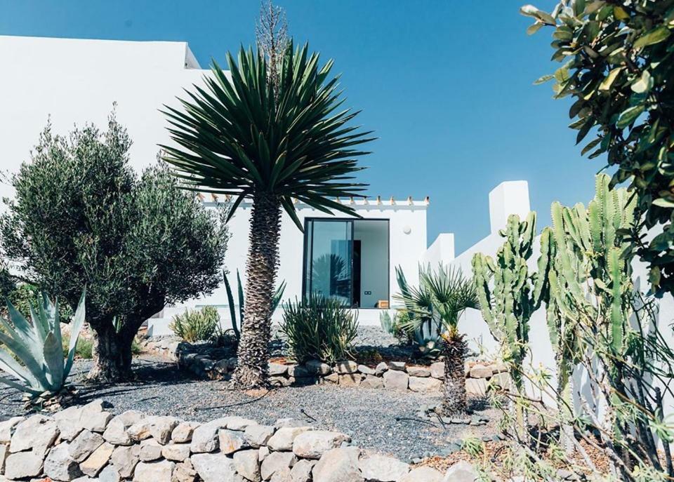 Olo Surf & Nature Dar Zitoun